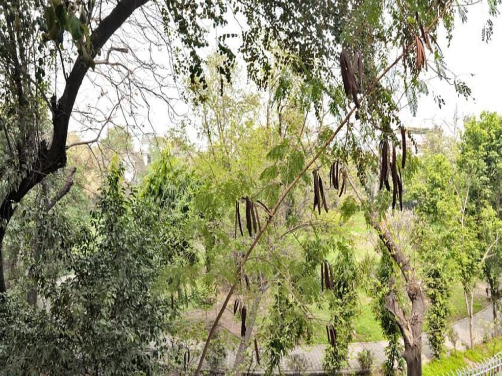 Haveli Hauz Khas Couette-café 3*