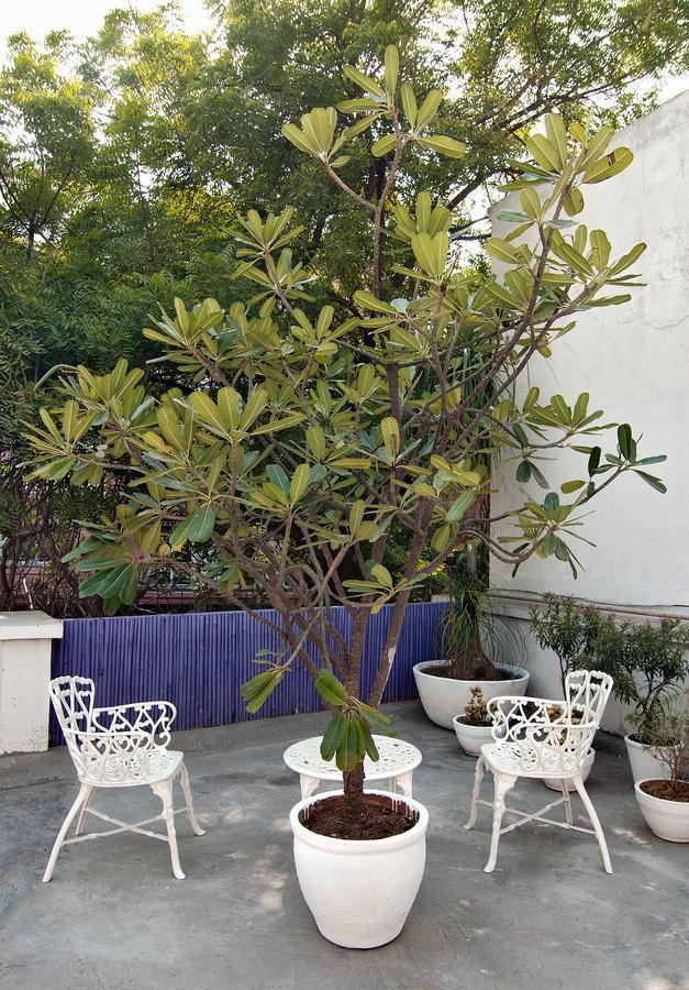 Haveli Hauz Khas Couette-café 3*