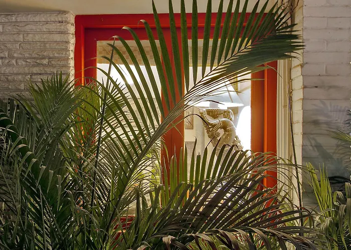 Haveli Hauz Khas